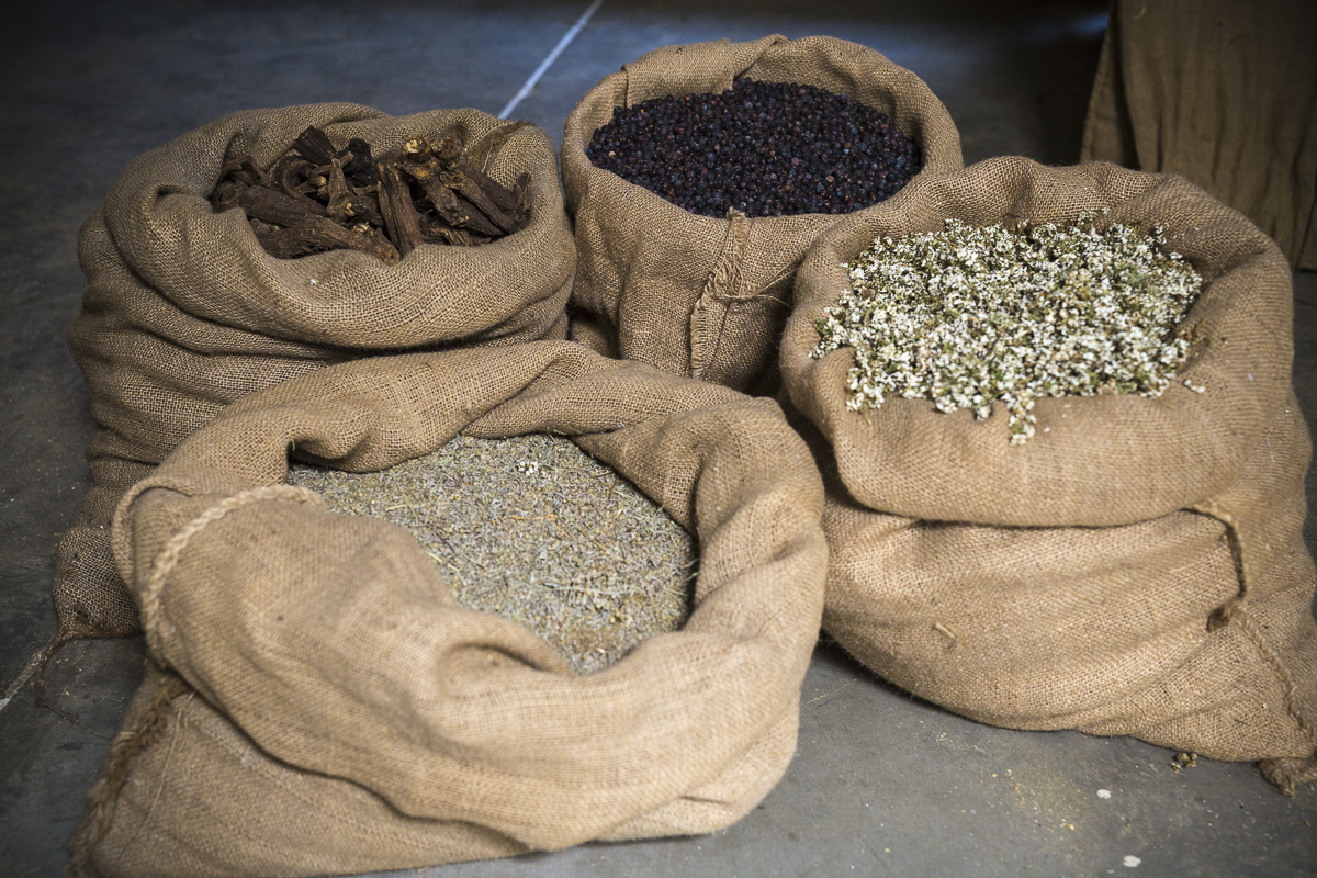 erbe_radici_ricetta_segreta_Braulio