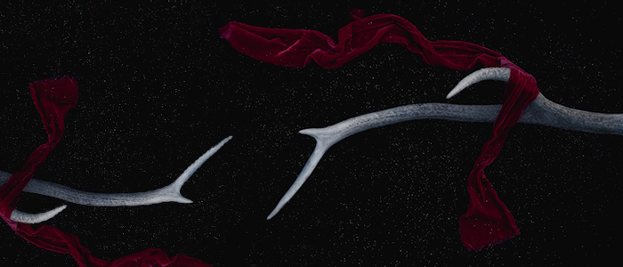 velluto_soapmotion_cover